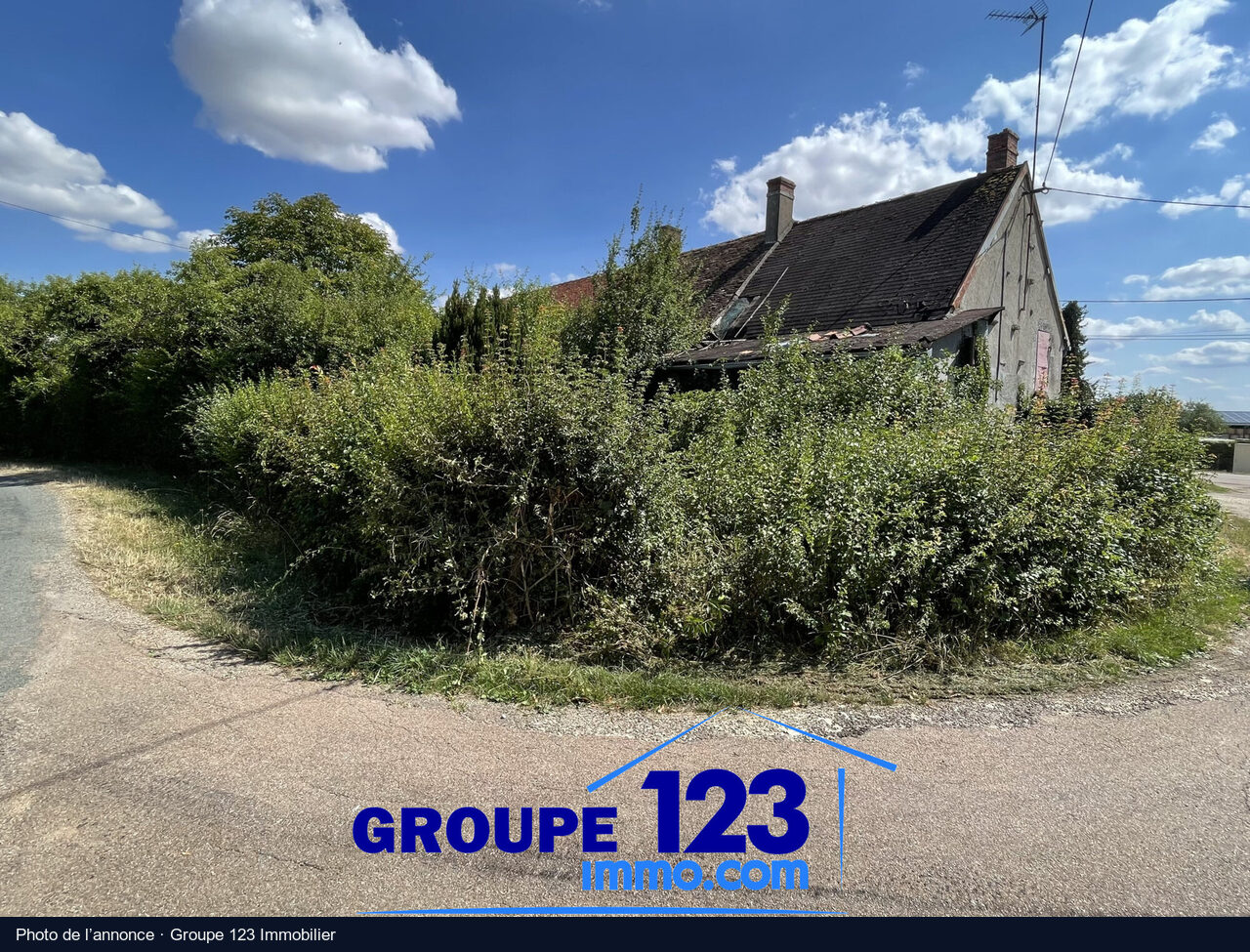 La maison aux deux cheminées, Lainsecq : photo de l’annonce, état actuel